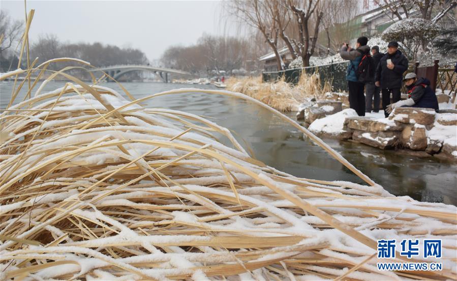 山东济南：雪后大明湖美如画