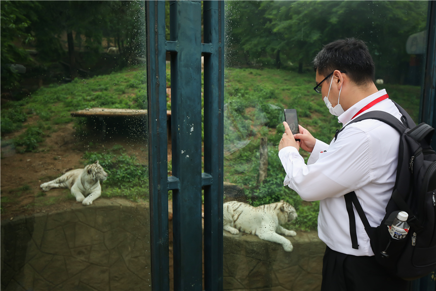 Overseas Travel Influencers Encounter Dalian's Poetic Romance_fororder_图片10