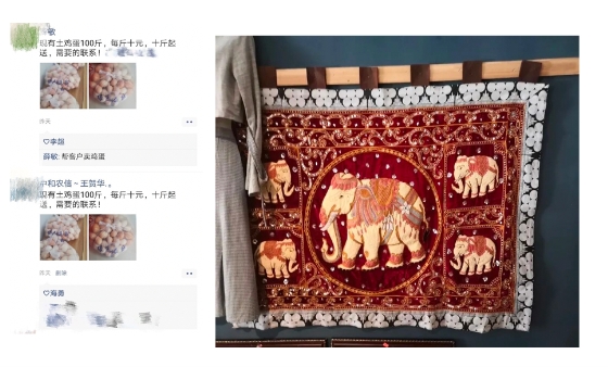 迎联合国中小微企业日论坛召开 中和农信分享助农实践