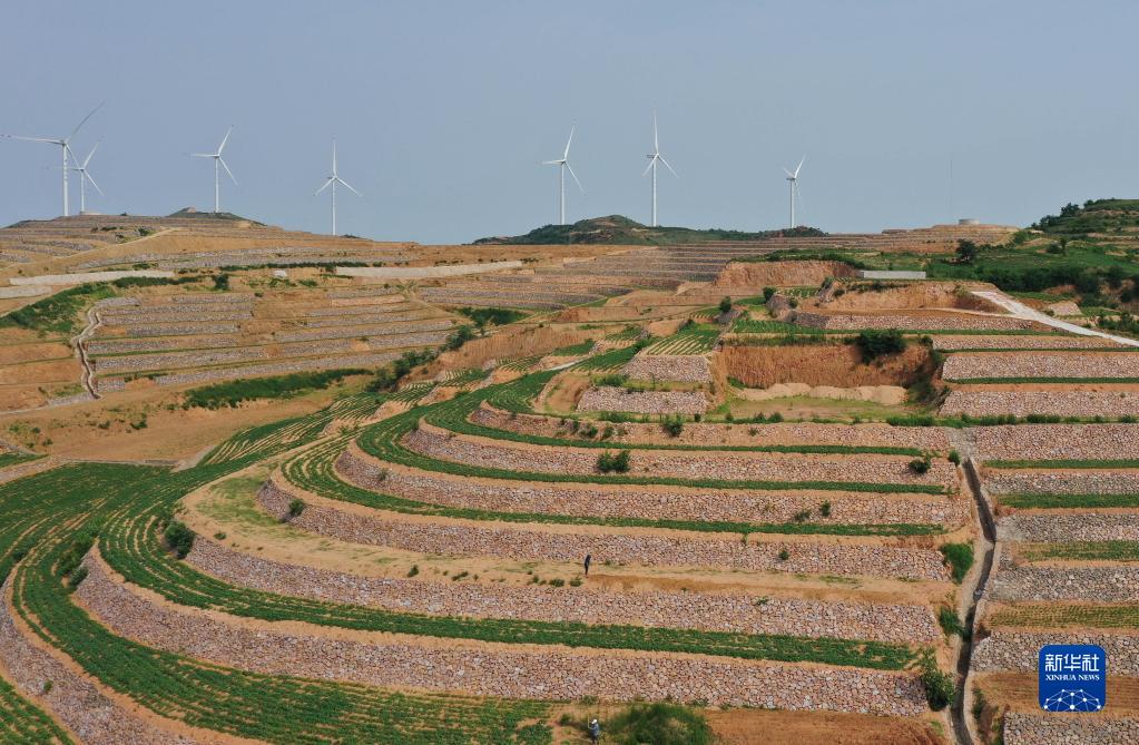 河北盧龍實施土地整治 讓坡地和荒地變成良田