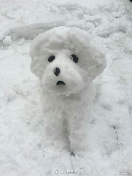 脑洞大开!这些网友堆的雪人你服不服(组图)