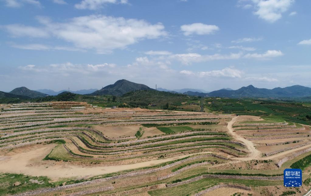 河北盧龍實施土地整治 讓坡地和荒地變成良田