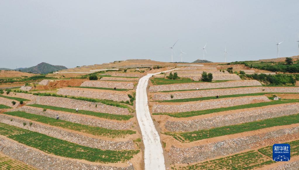 河北盧龍實施土地整治 讓坡地和荒地變成良田