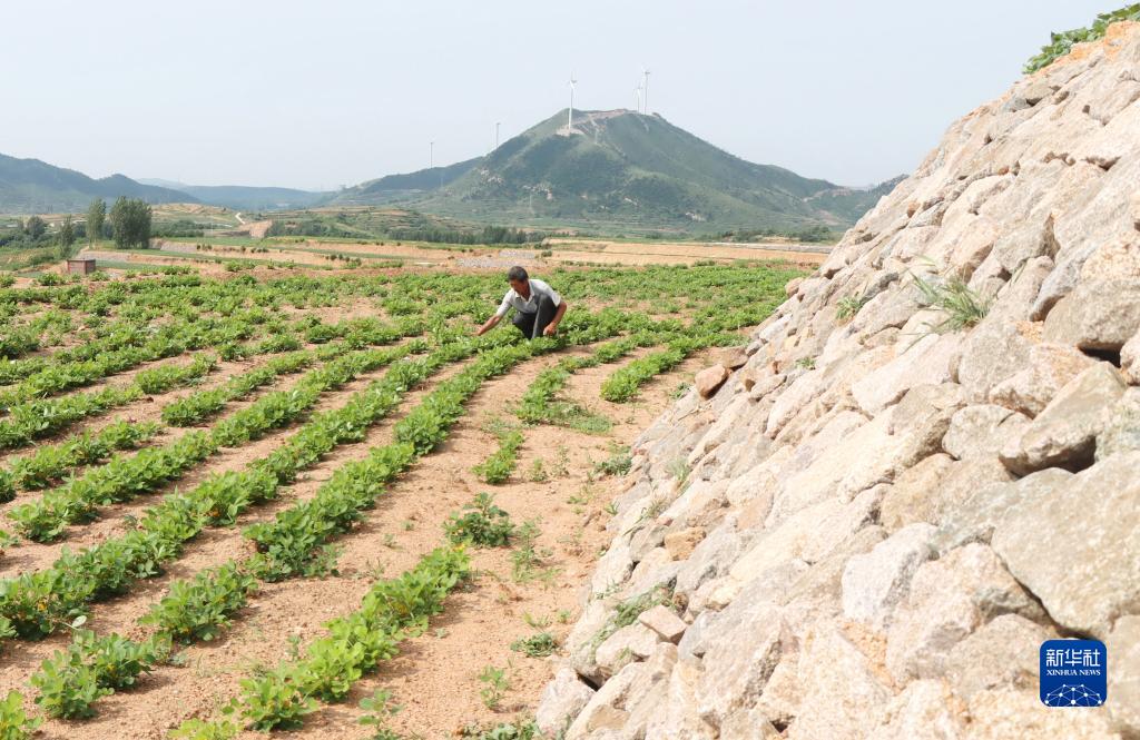 河北卢龙实施土地整治 让坡地和荒地变成良田