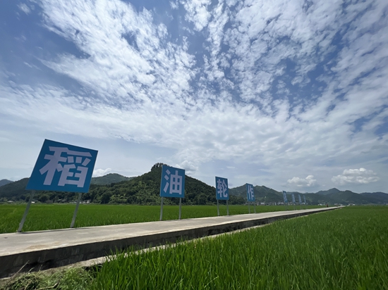 貴州碧江：立體生態農業悄然“蛻變” 繪就新興農村圖