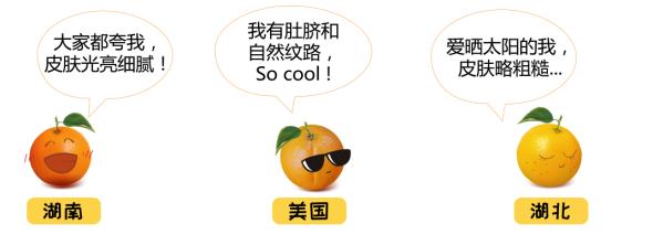 不懂如何置办年货橙?一份来自天使之橙的选橙宝典 不懂如何置办年货橙?一份来自天使之橙的选橙宝典