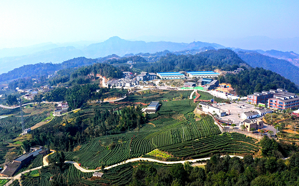 宜宾高县落润镇党建赋能添活力乡村振兴展翅飞