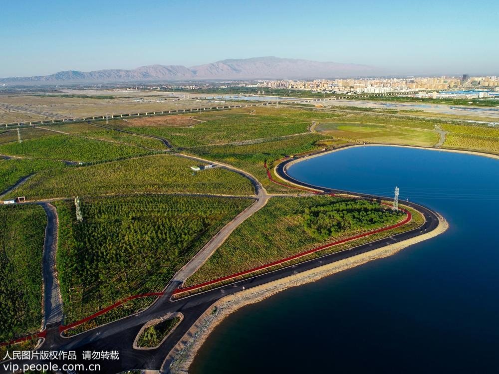 黑河领域生态防护林成为甘肃张掖绿色屏障