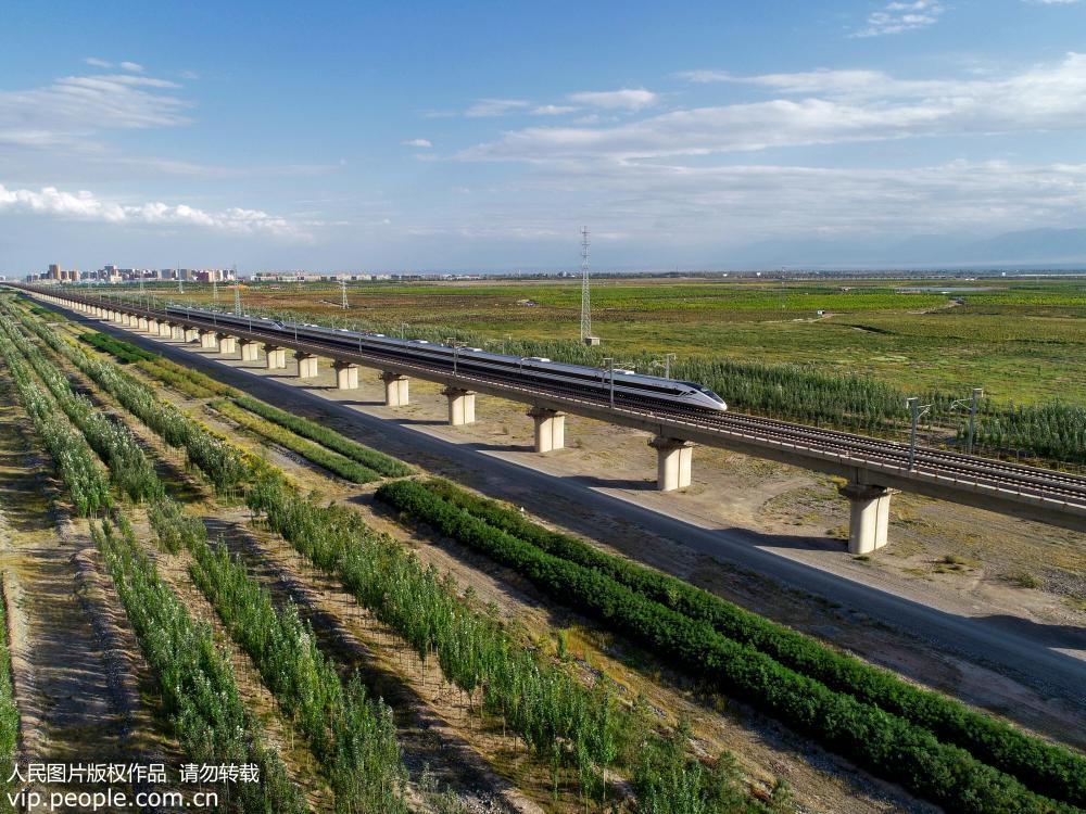 黑河领域生态防护林成为甘肃张掖绿色屏障