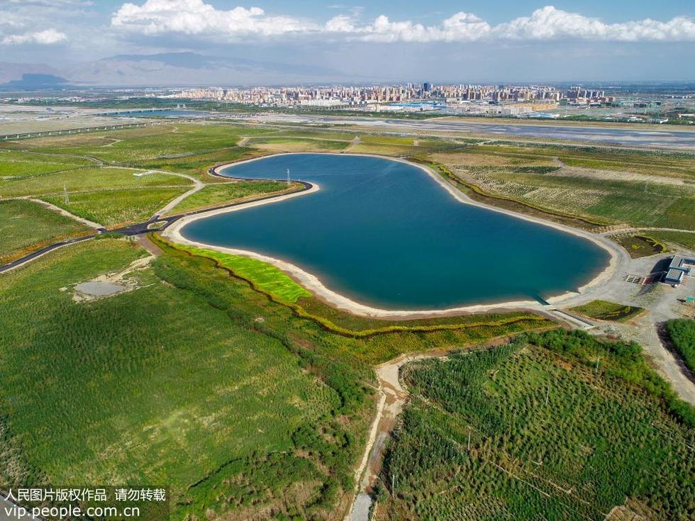 黑河領域生態防護林成為甘肅張掖綠色屏障