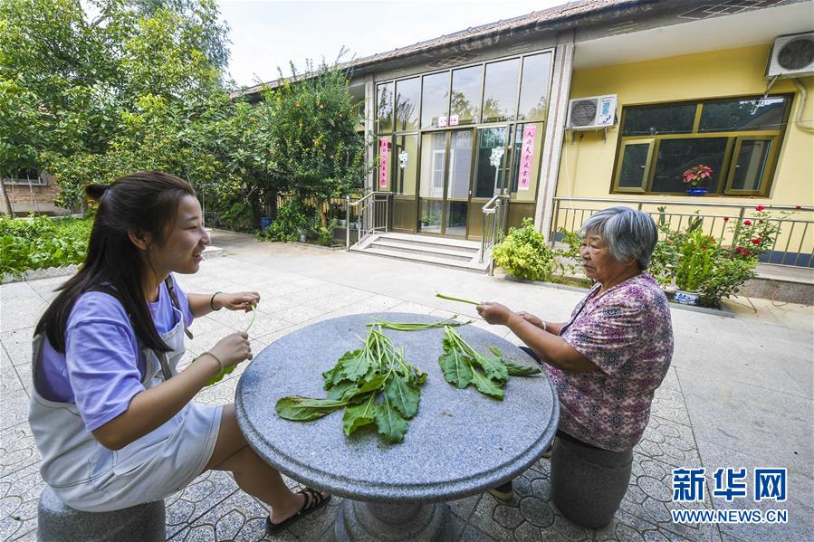 河北故城：“美丽庭院”成就美丽生活