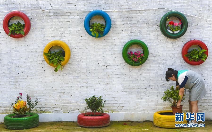 河北故城：“美丽庭院”成就美丽生活