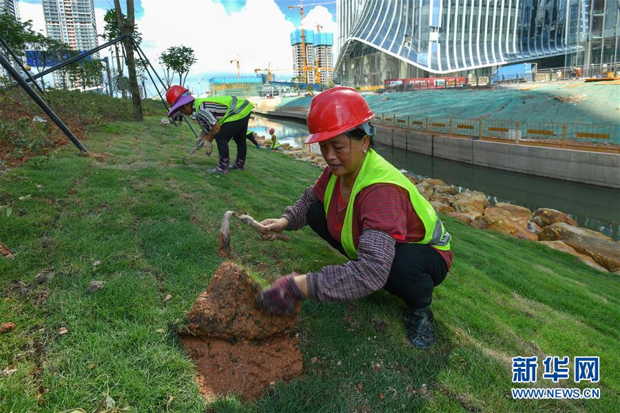 建设生态融合“前海水城”