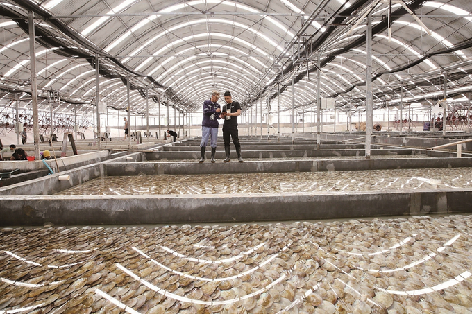 连云港：合理布局养殖区促渔民增收致富