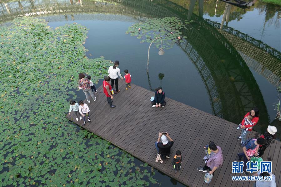 “活”水兴榕城——福州推进城区水系综合治理提升民众幸福感