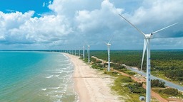 上半年  清潔能源發電同比增長12.8%