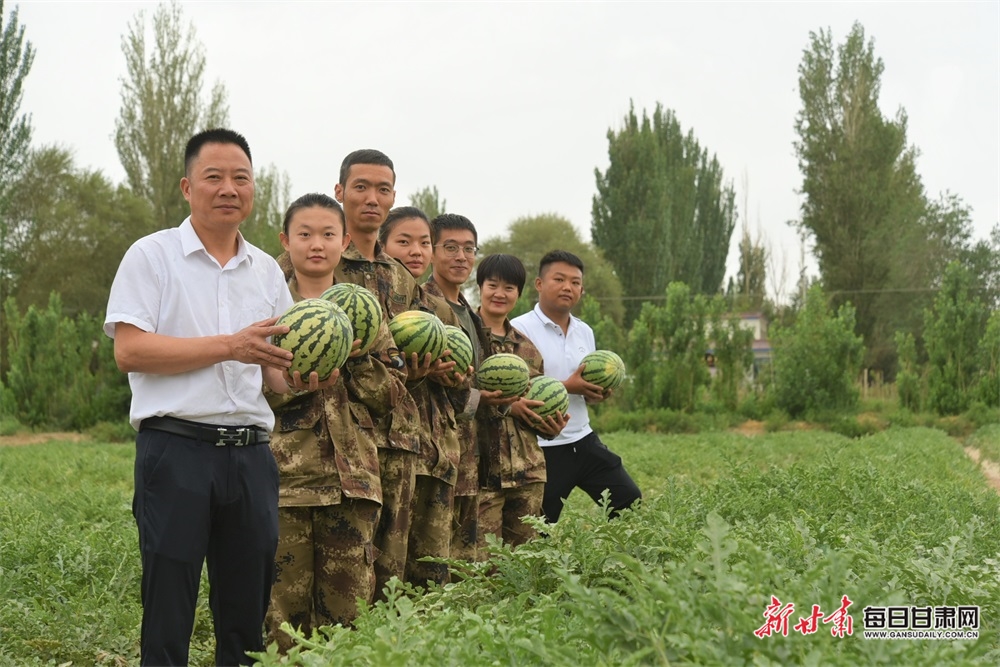 敦煌市转渠口镇的小拱棚西瓜熟了_fororder_2