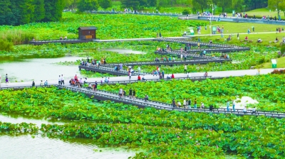 南京蓮花湖畔 納涼好去處