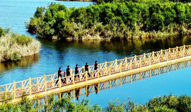 山东全面实施“生态警务”，已有生态警长2807名