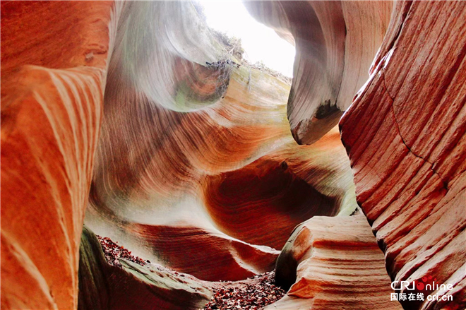 黄土高原上满眼新绿 “生态延安”的“甘泉能量”_fororder_微信图片_20220701091810_副本