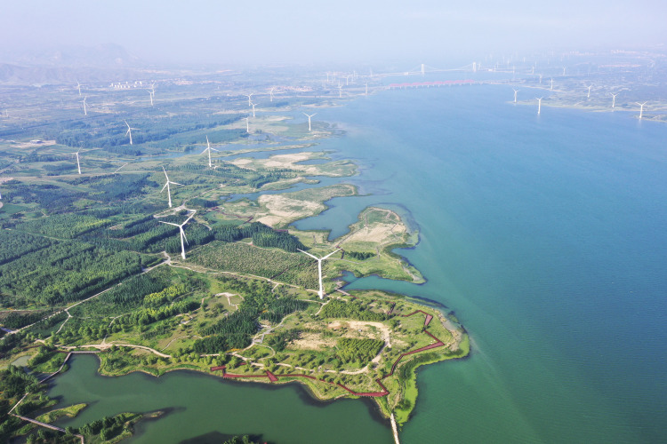 張家口官廳水庫國家濕地公園：護一泓清水 潤京張兩地