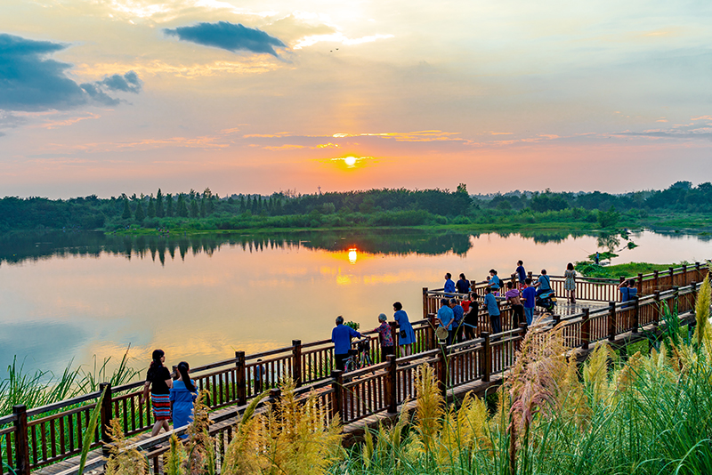 成都温江亮出“简约生活 低碳绿色旅游”新名片_fororder_游客游览温江北林区域风光-摄影-张志强