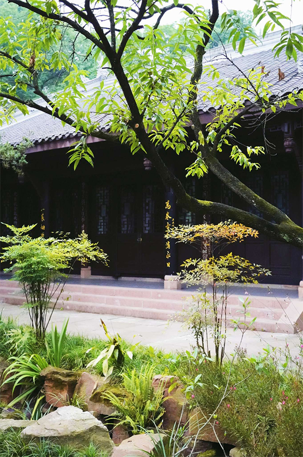 hi眉山七月三苏祠清风伴蝉鸣