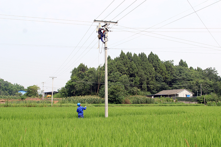 挥洒汗水在一线 | 眉山电力工人战高温保供电-国际在线