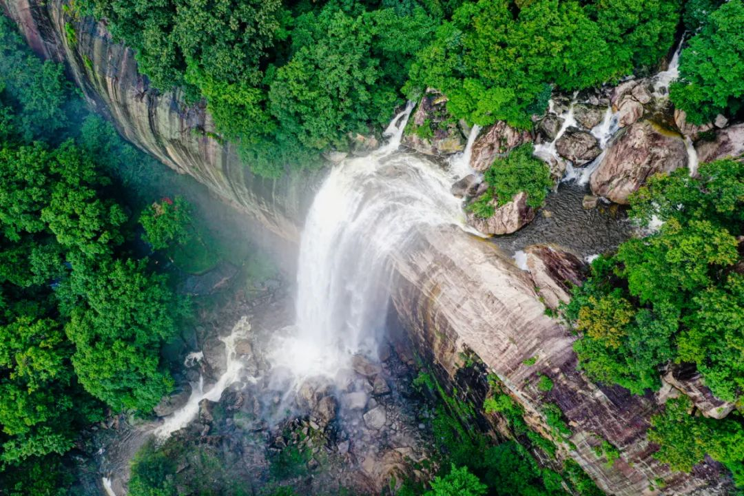 Luoyang's Baiyun Mountain Scenic Area Opens to Tourists for Free！_fororder_圖片11