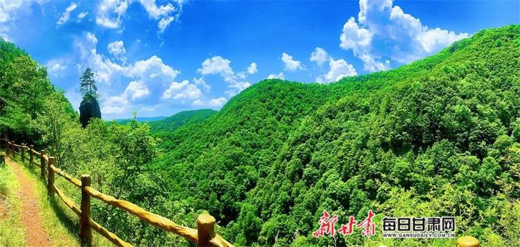 【焦點圖】夏日 在華亭關山坐看雲起靜聽松濤_fororder_4