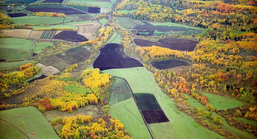 俄阿尔泰金山或因对华输气管道被列入世界濒危遗产