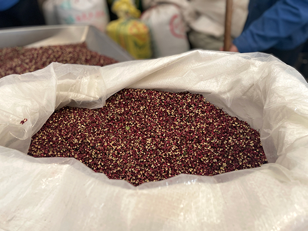 鄉村振興看阿壩｜茂縣發展花椒産業 助力高半山鄉村振興_fororder_茂縣花椒-供圖-中共阿壩州委網信辦1