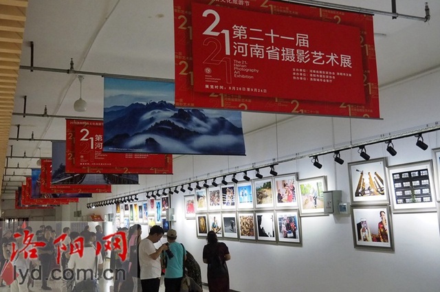 第二十一届河南省摄影艺术展走进洛阳 市民可免费参观