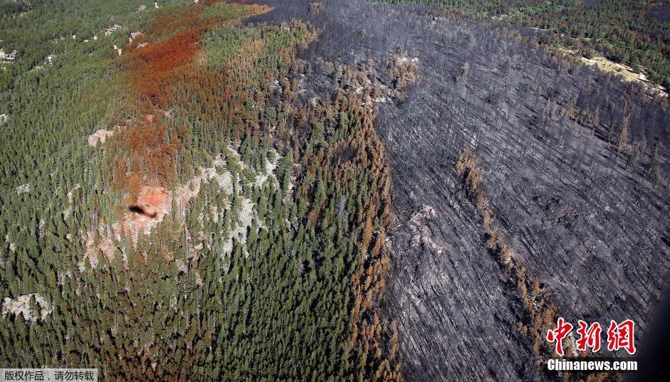 美国科州山火烧焦大片森林 空中俯瞰触目惊心