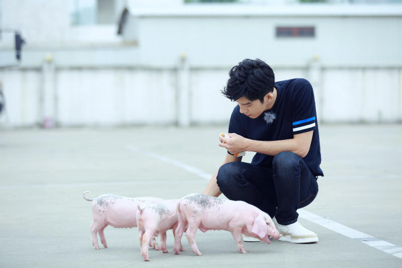 井柏然再度加盟真人秀 喂猪引热议：人不如猪_娱乐_腾讯网