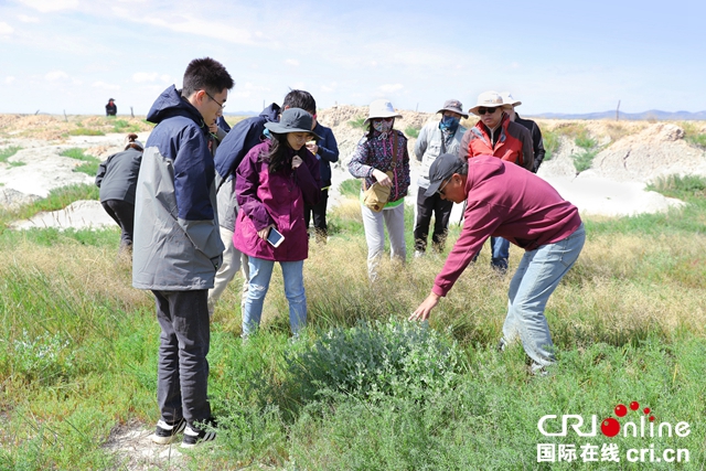 汽车频道【供稿】【要闻列表】“绿色梦·在路上”北京现代连续第十二年开启治沙行动