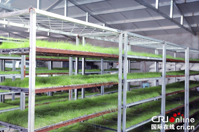 汽车频道【供稿】【要闻列表】“绿色梦·在路上”北京现代连续第十二年开启治沙行动