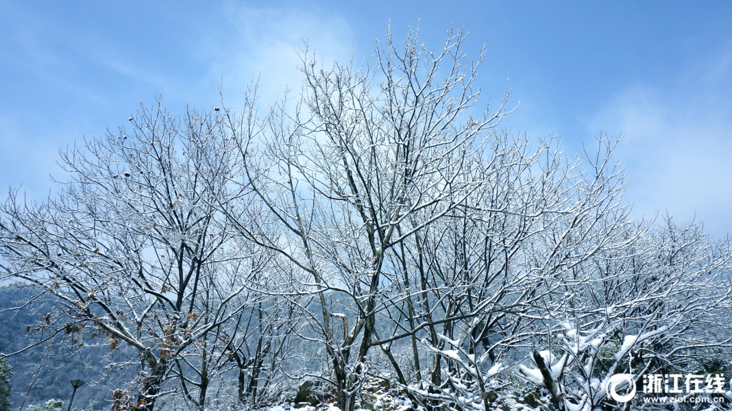 浙江金华山银装素裹 雪景迷人