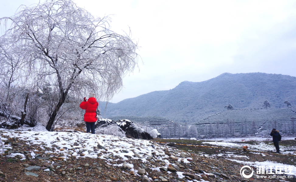 浙江金华山银装素裹 雪景迷人