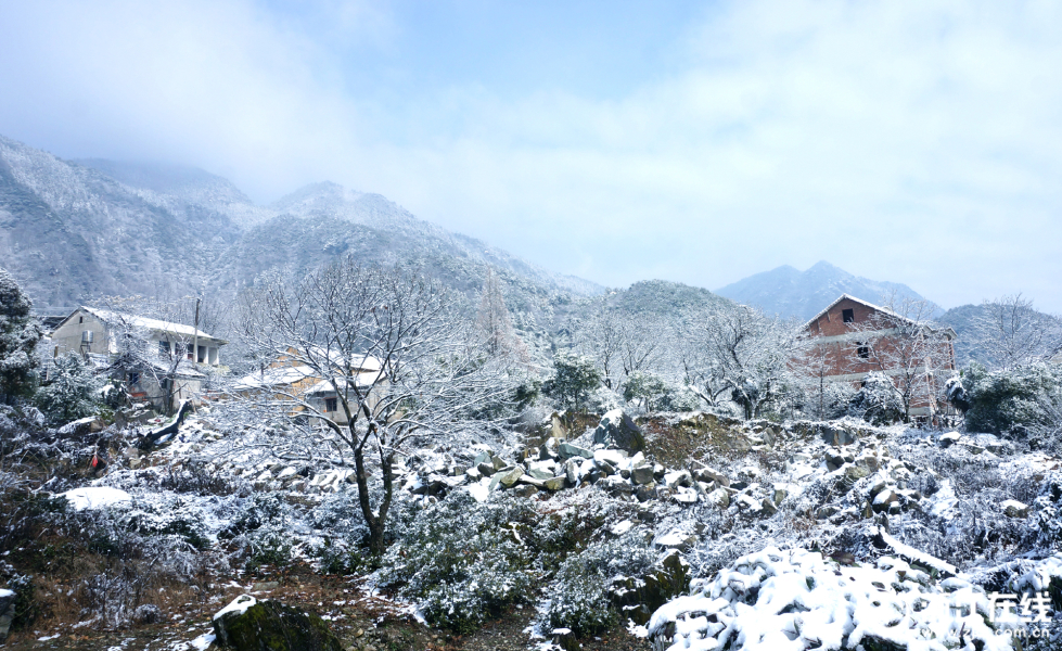 浙江金华山银装素裹 雪景迷人