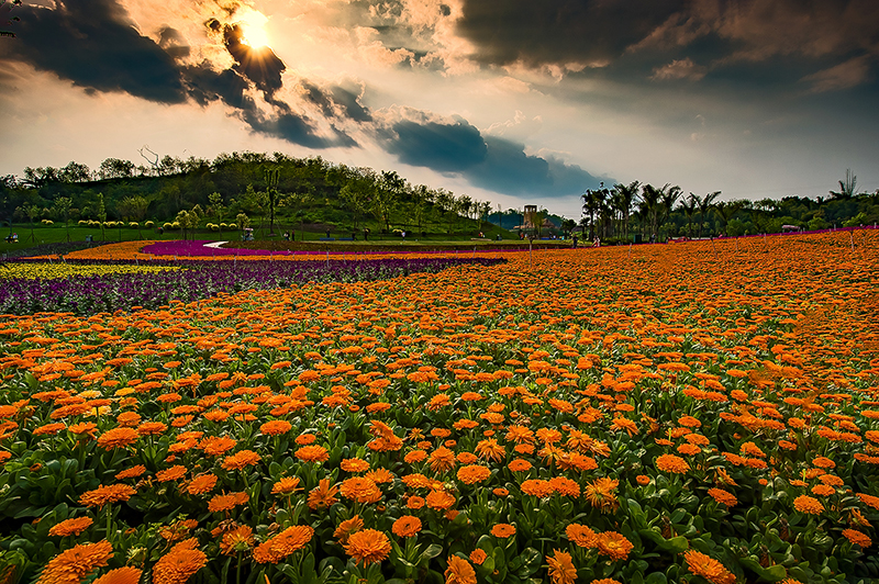 （唯一 附链接）四川自贡：深入推进海绵城市建设 打造宜居宜游生态城市