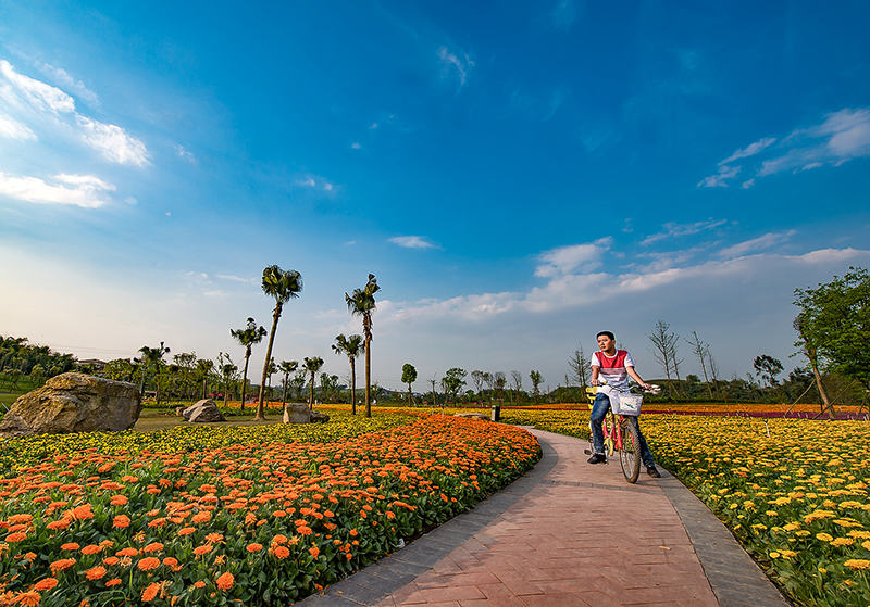 （唯一 附链接）四川自贡：深入推进海绵城市建设 打造宜居宜游生态城市