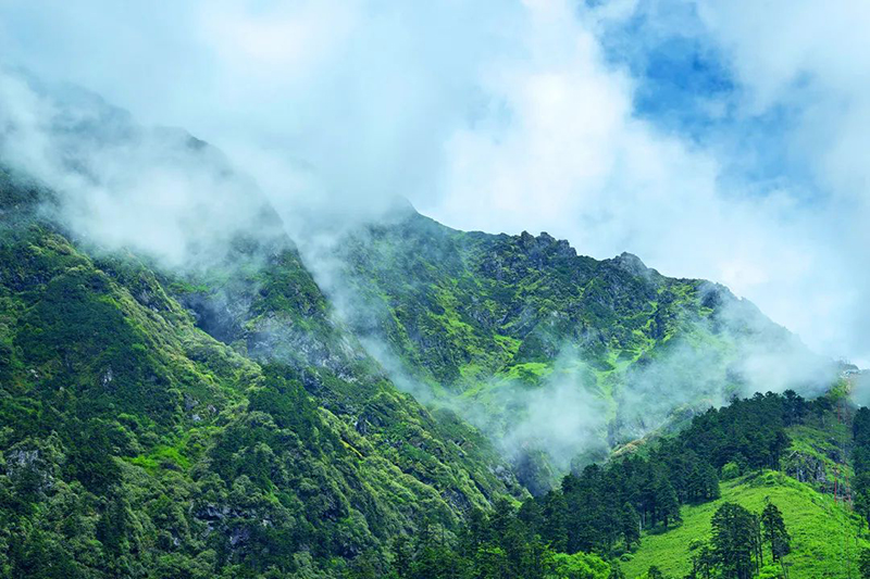 好山好水好凉快｜雅安天全——山河“滚烫” 这里一片“清凉”_fororder_喇叭河美景-供图-天全县融媒体中心（3）