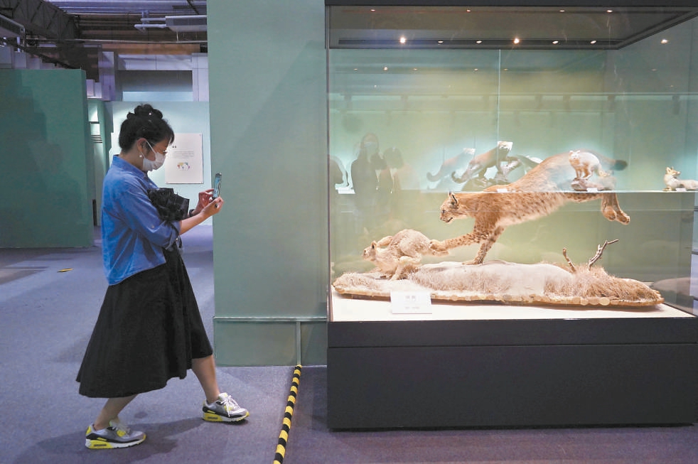 北京自然博物馆50件珍稀标本展“野性之美”
