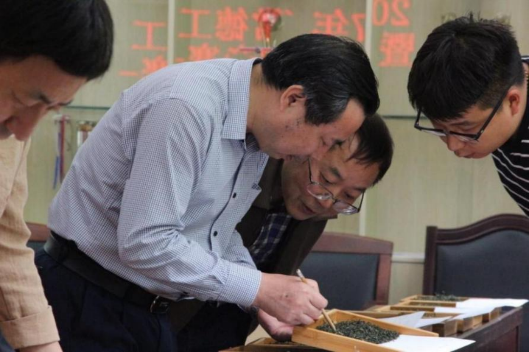 出海观茶|湖南农业大学教授肖力争：国运兴、茶运兴 培养多元人才全面提升中国茶的竞争力_fororder_（国际在线）出海观茶-湖南农业大学萧力争采访成稿1405