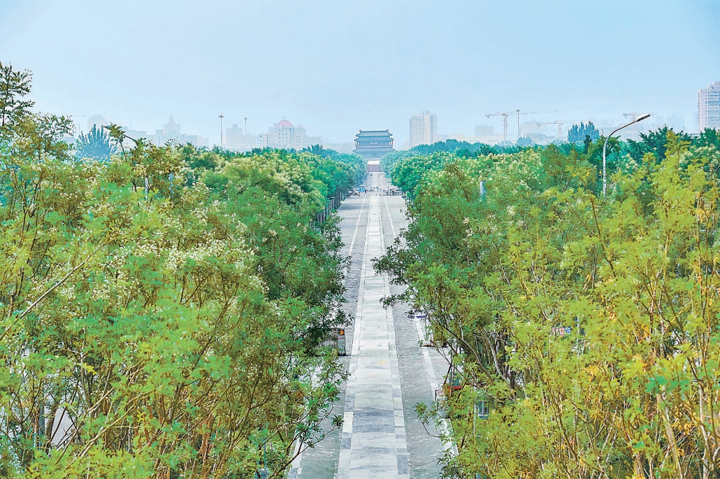 北京3公里南中軸線禦道景觀貫通