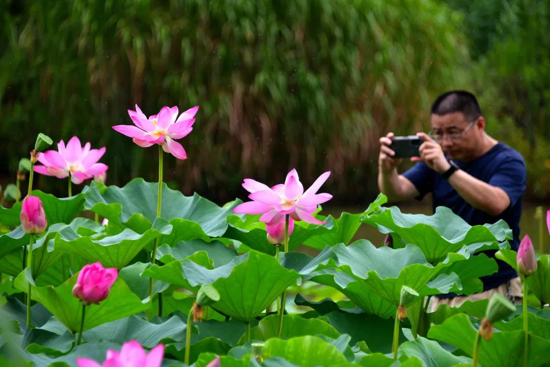 Rainbow-colored Summer in Luoyang_fororder_图片3