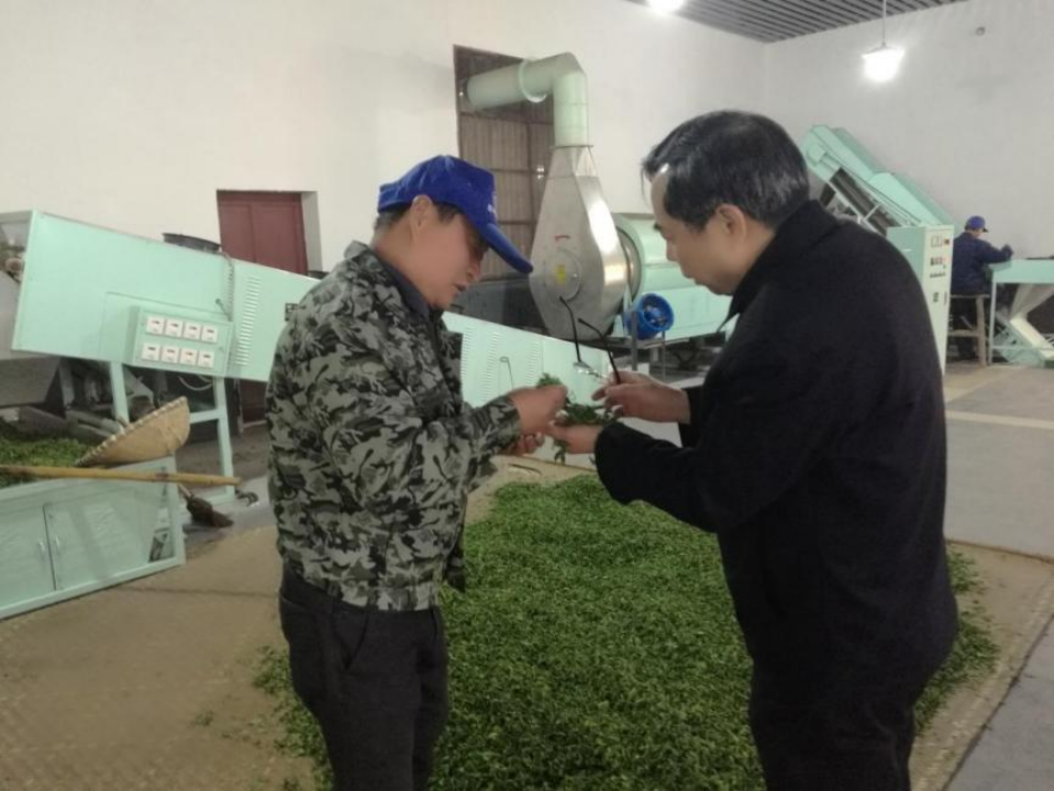 出海观茶|湖南农业大学教授肖力争：国运兴、茶运兴 培养多元人才全面提升中国茶的竞争力_fororder_（国际在线）出海观茶-湖南农业大学萧力争采访成稿2338