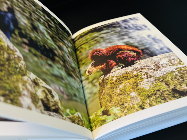 首部“中芬元素”跨境地理小说《从贵州到罗瓦涅米》出版 开启荔波喀斯特与芬兰梦幻北极光的奇妙之旅