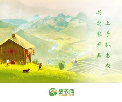 2017农业电商评选活动结果出炉，惠农网探索“互联网+”经济新风口